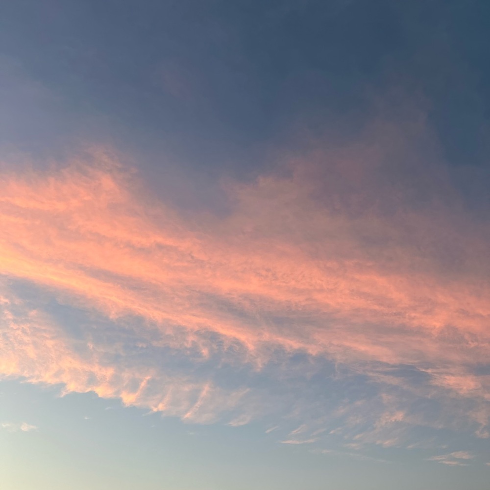 Meet your Posher, Soph